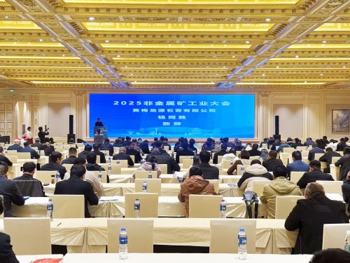 華特集團執(zhí)行總裁王前出席參加2025中國非金屬礦工業(yè)大會